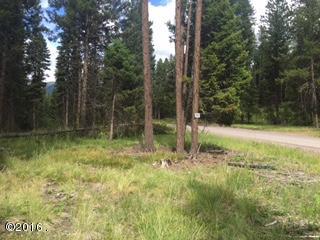 890 Grayling Drive, Seeley Lake, MT 59868