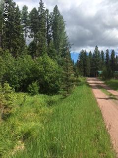 890 Grayling Drive, Seeley Lake, MT 59868