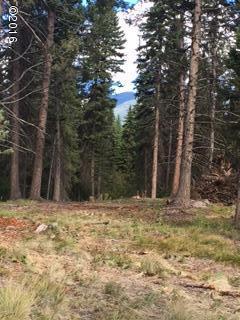 890 Grayling Drive, Seeley Lake, MT 59868