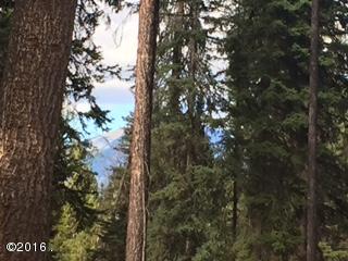 890 Grayling Drive, Seeley Lake, MT 59868