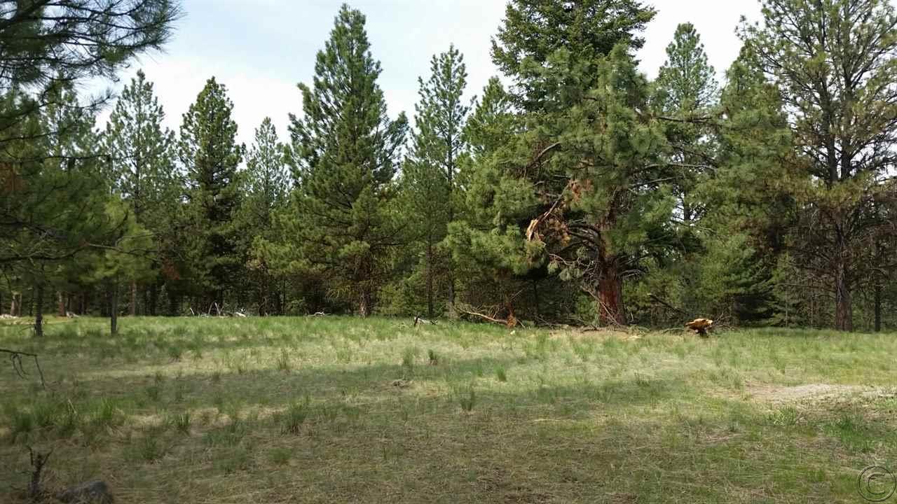 Lot 10 Dunham Court, Seeley Lake, MT 59868