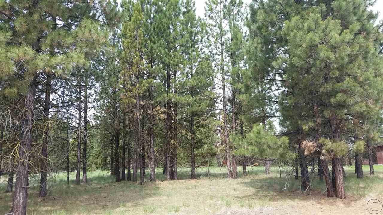 Lot 10 Dunham Court, Seeley Lake, MT 59868
