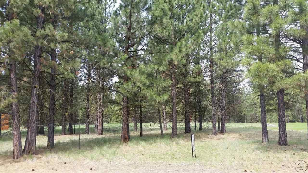 Lot 10 Dunham Court, Seeley Lake, MT 59868