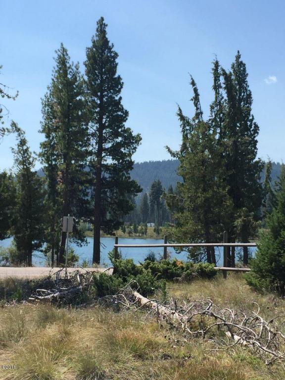 Nhn Riverview Drive, Seeley Lake, MT 59868