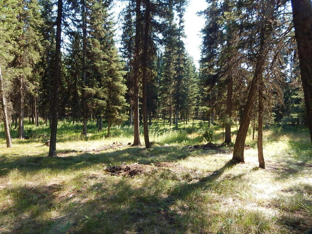 117 Rainbow Drive, Seeley Lake, MT 59868