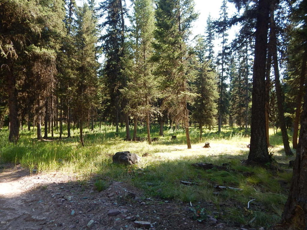 117 Rainbow Drive, Seeley Lake, MT 59868