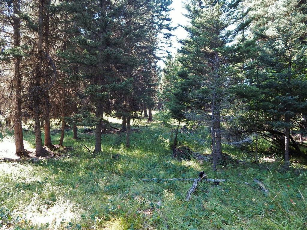 117 Rainbow Drive, Seeley Lake, MT 59868