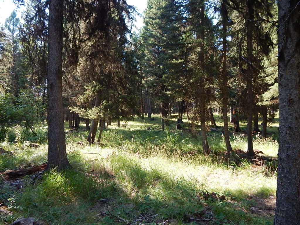 117 Rainbow Drive, Seeley Lake, MT 59868