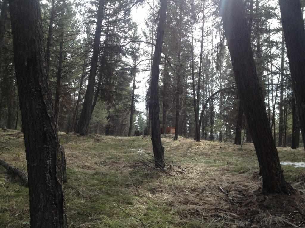 1274 Grandview Drive, Seeley Lake, MT 59868