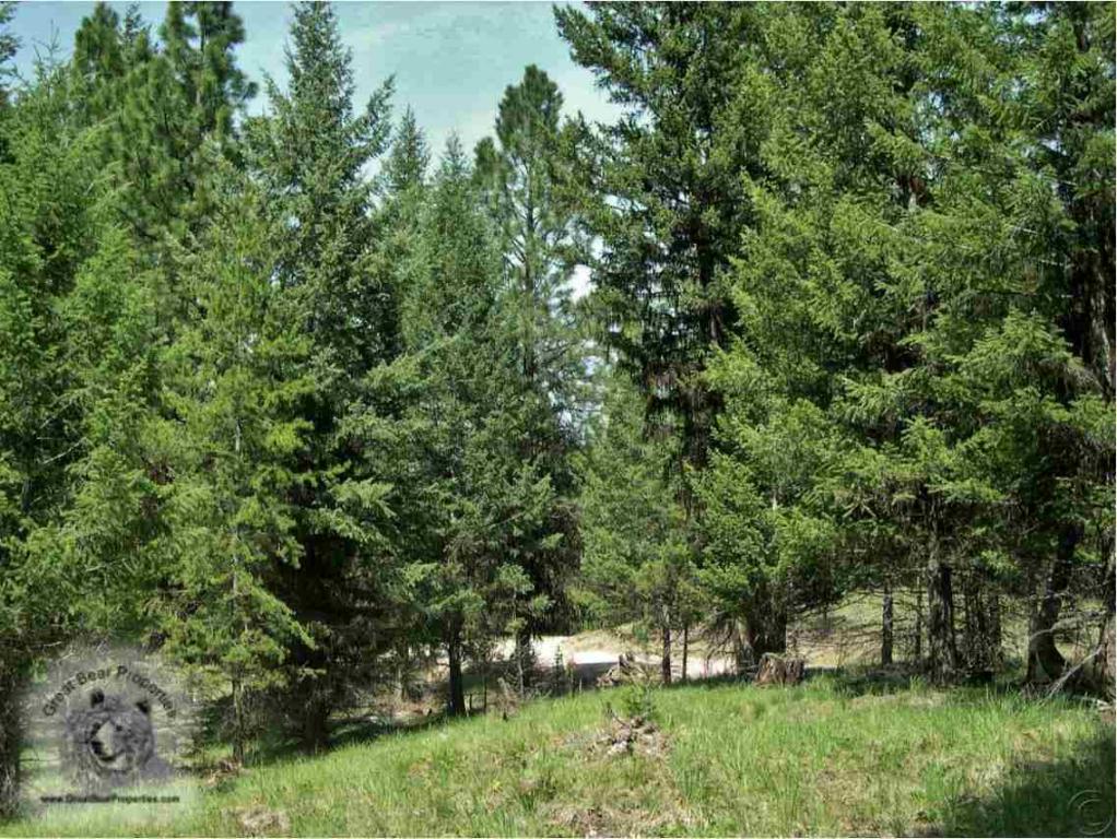 675 Montana Drive, Seeley Lake, MT 59868
