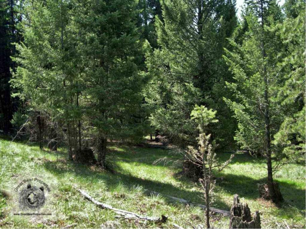 675 Montana Drive, Seeley Lake, MT 59868