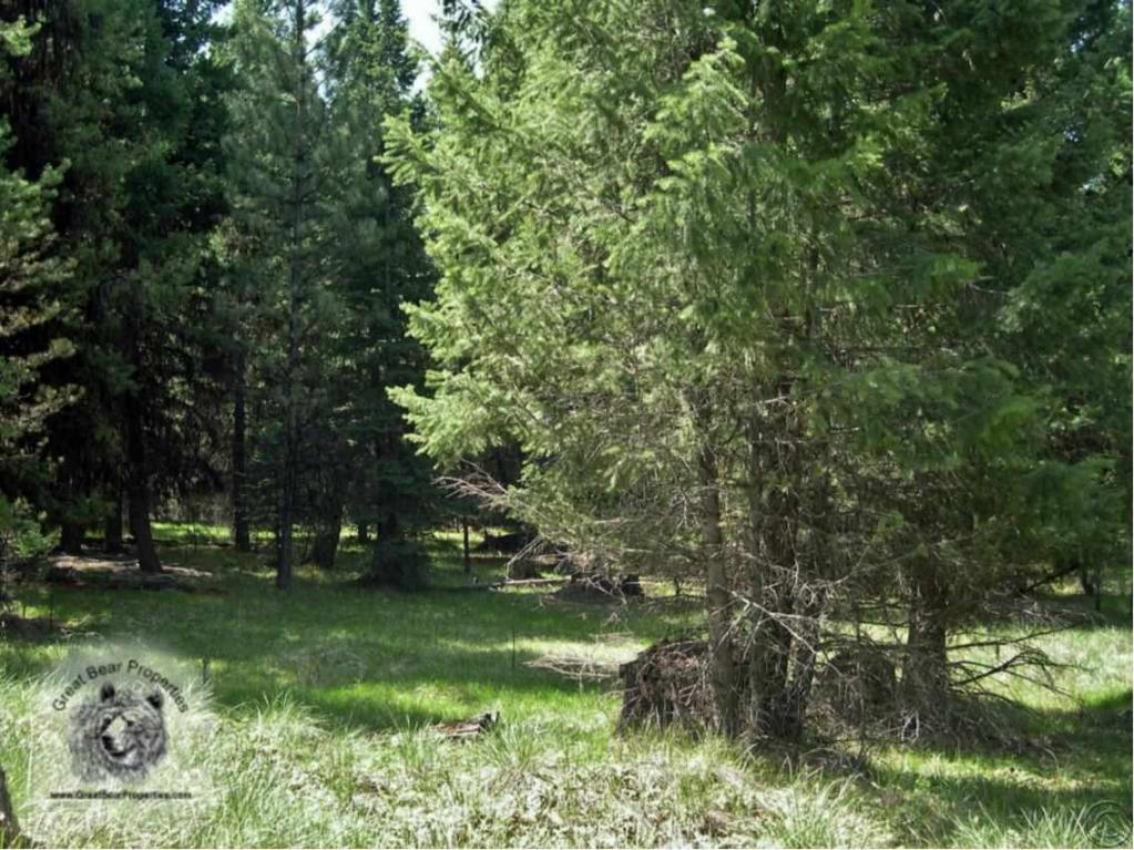 675 Montana Drive, Seeley Lake, MT 59868