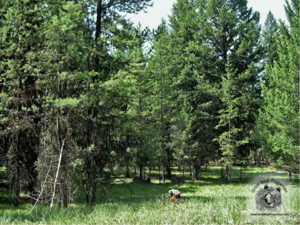 675 Montana Drive, Seeley Lake, MT 59868
