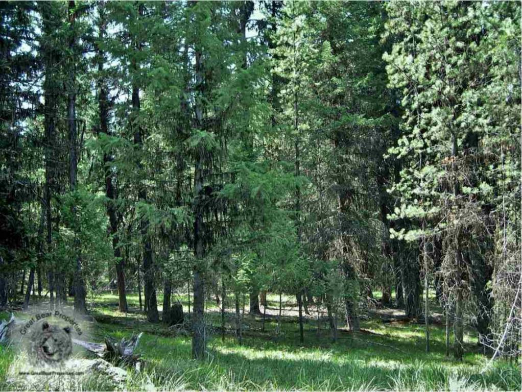 675 Montana Drive, Seeley Lake, MT 59868