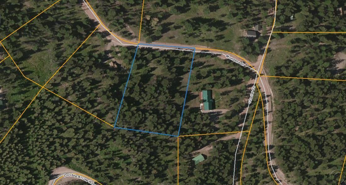675 Montana Drive, Seeley Lake, MT 59868
