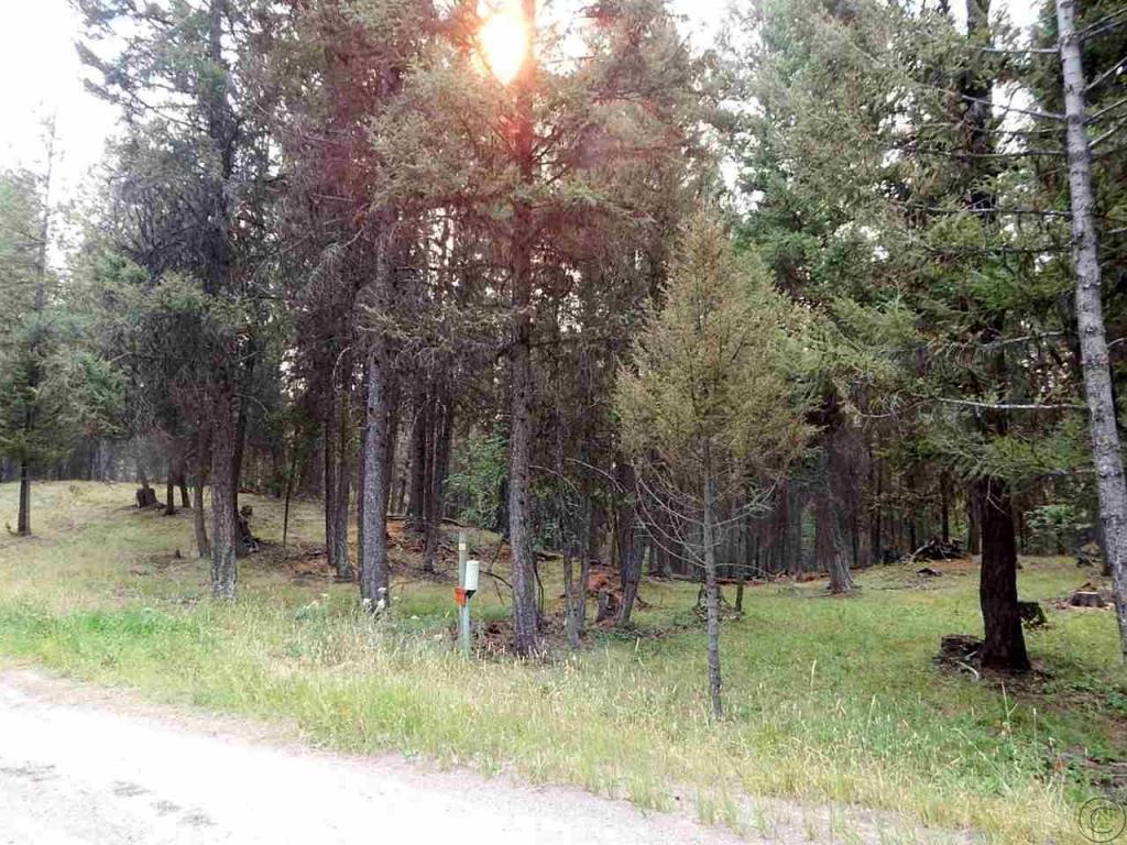 265 Fawn Lane, Seeley Lake, MT 59868