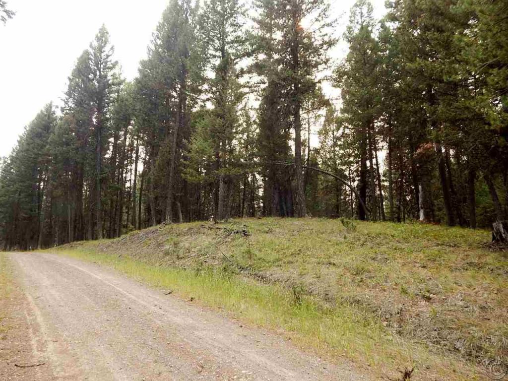 265 Fawn Lane, Seeley Lake, MT 59868