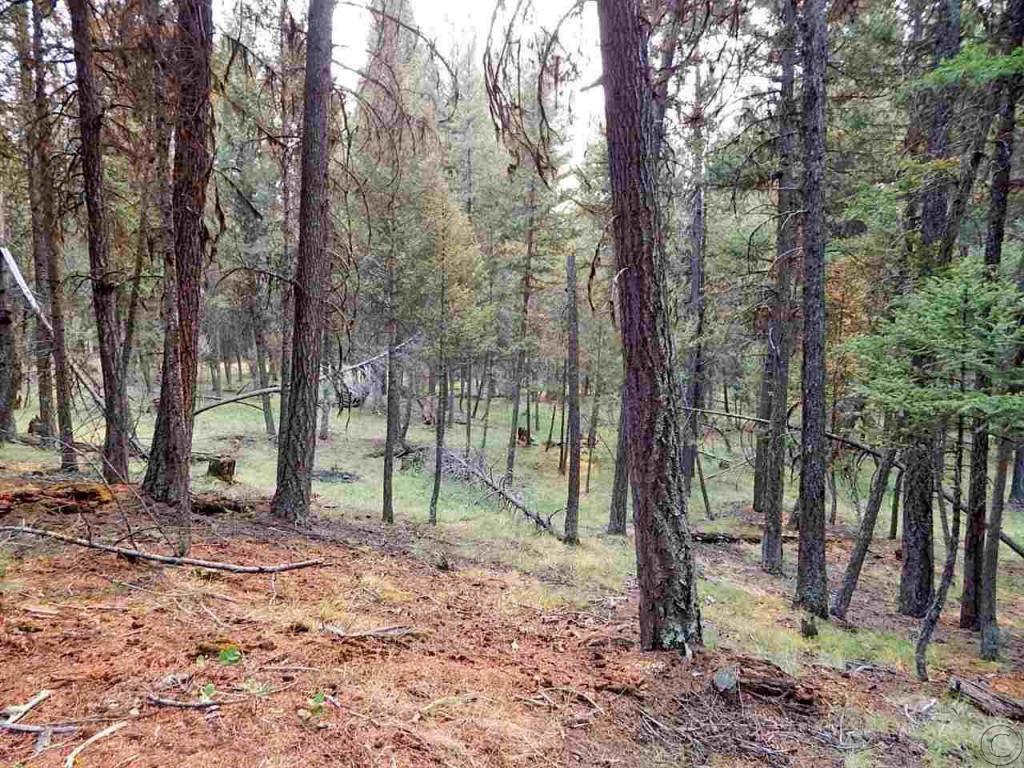 265 Fawn Lane, Seeley Lake, MT 59868