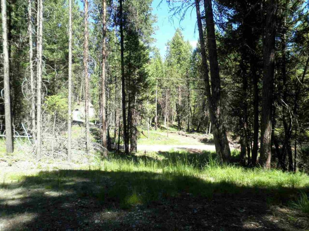 701 Evergreen Drive, Seeley Lake, MT 59868