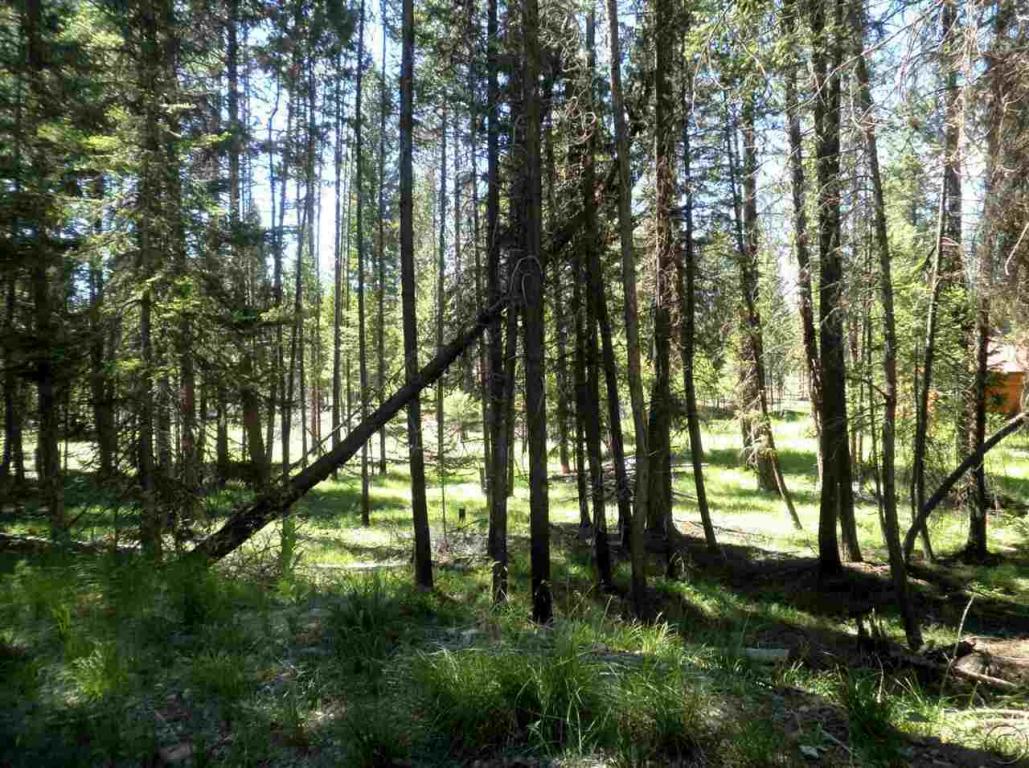 701 Evergreen Drive, Seeley Lake, MT 59868