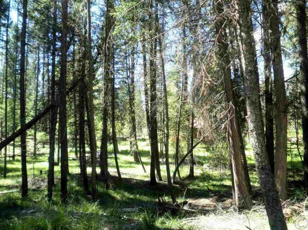 701 Evergreen Drive, Seeley Lake, MT 59868