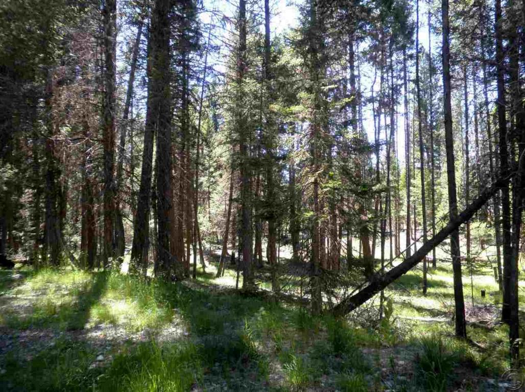 701 Evergreen Drive, Seeley Lake, MT 59868