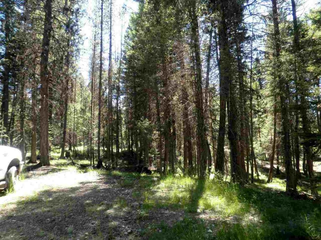 701 Evergreen Drive, Seeley Lake, MT 59868