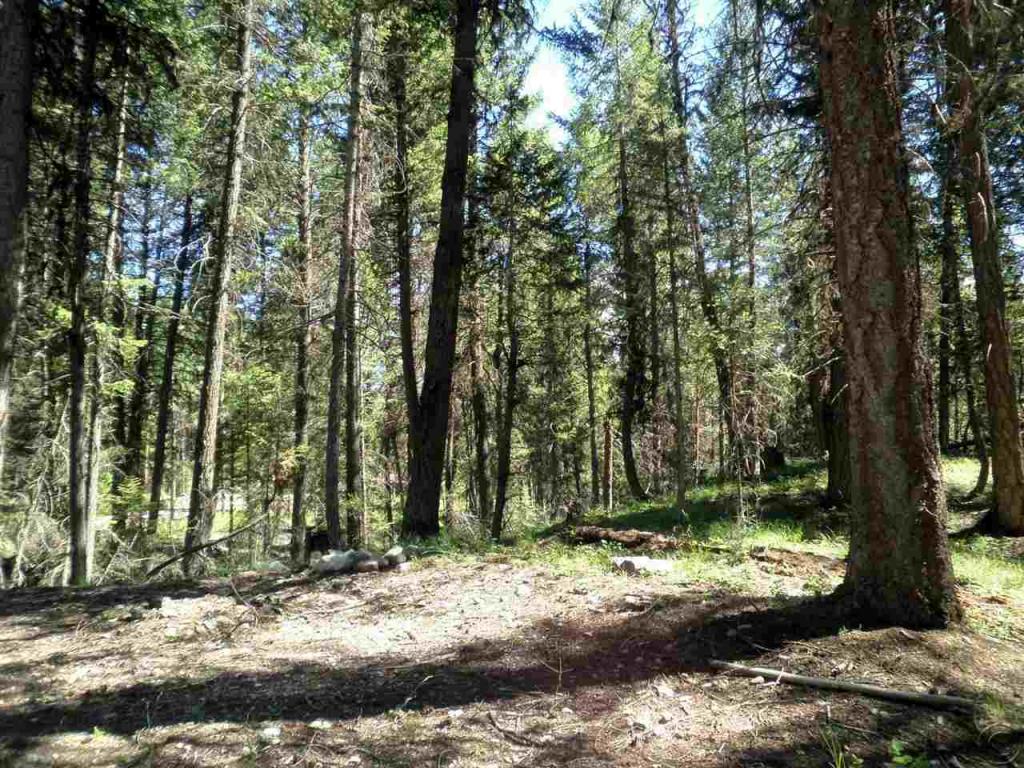 701 Evergreen Drive, Seeley Lake, MT 59868