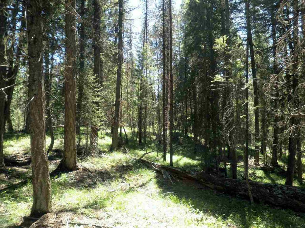 701 Evergreen Drive, Seeley Lake, MT 59868