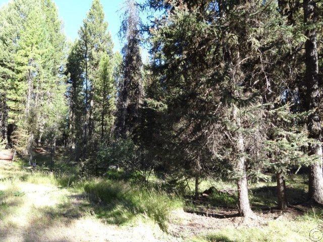427 Glacier Drive, Seeley Lake, MT 59868