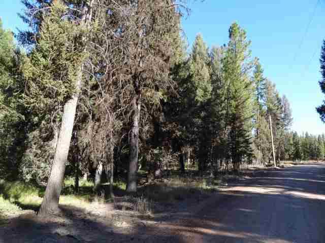 427 Glacier Drive, Seeley Lake, MT 59868