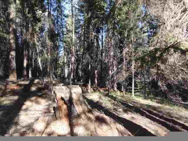 427 Glacier Drive, Seeley Lake, MT 59868