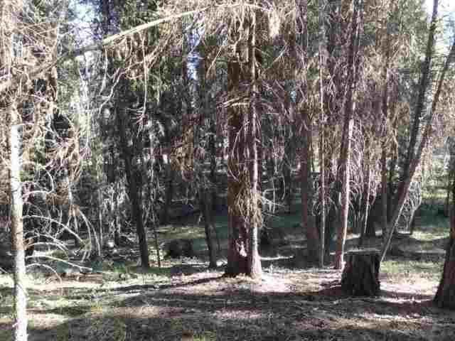 427 Glacier Drive, Seeley Lake, MT 59868