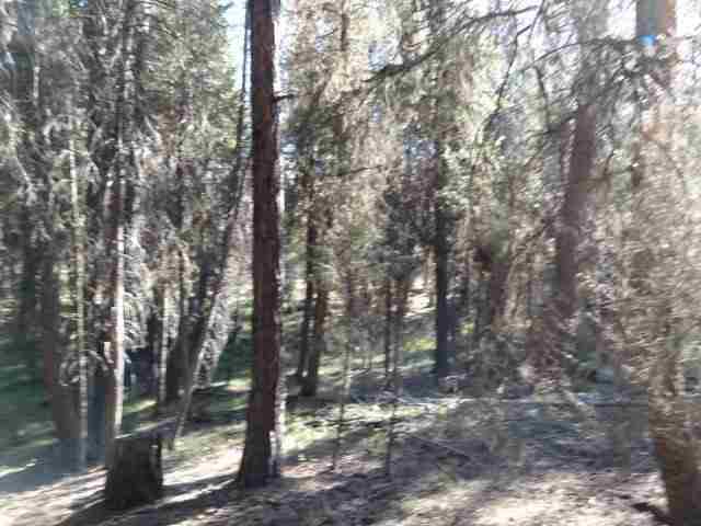 427 Glacier Drive, Seeley Lake, MT 59868