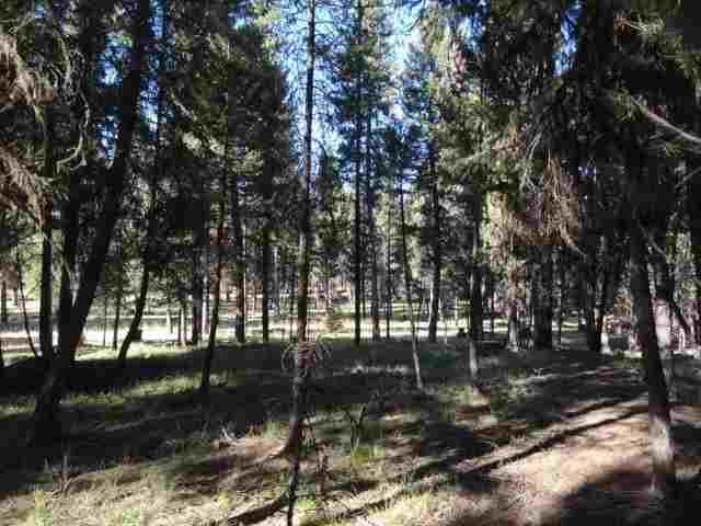 427 Glacier Drive, Seeley Lake, MT 59868