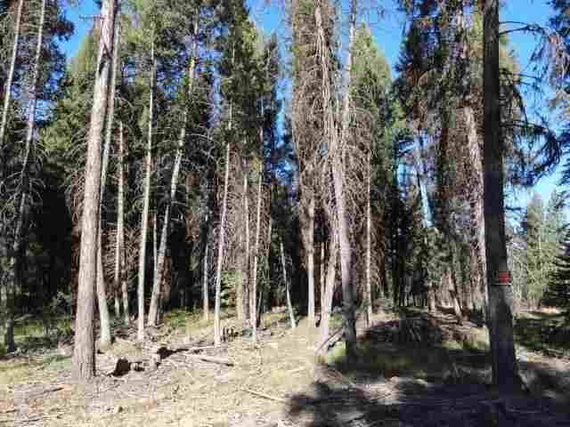 427 Glacier Drive, Seeley Lake, MT 59868