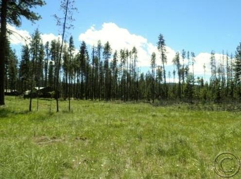 Lot 73 Chipmonk Court, Seeley Lake, MT 59868