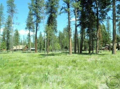 Lot 73 Chipmonk Court, Seeley Lake, MT 59868