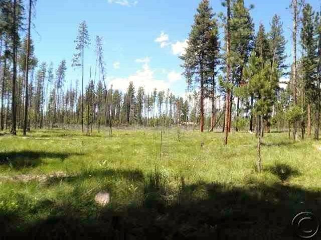 Lot 73 Chipmonk Court, Seeley Lake, MT 59868