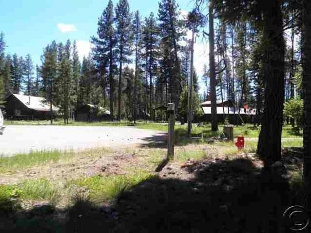 Lot 73 Chipmonk Court, Seeley Lake, MT 59868