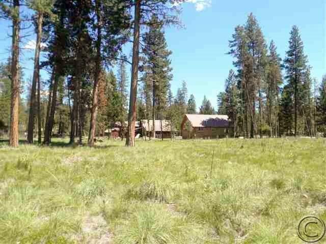 Lot 73 Chipmonk Court, Seeley Lake, MT 59868