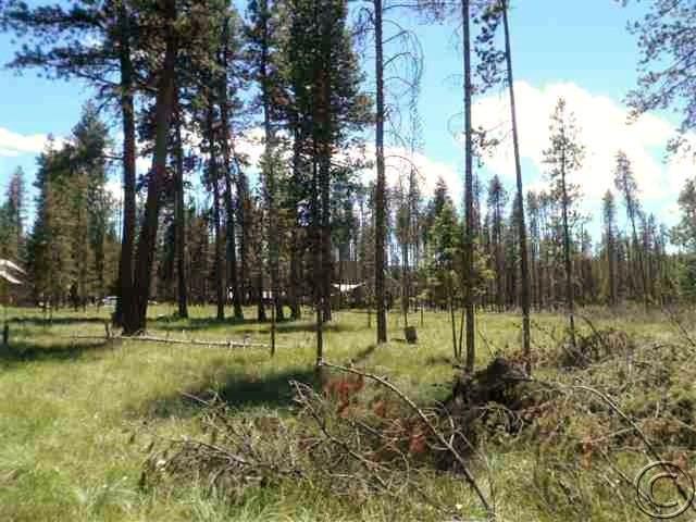 Lot 73 Chipmonk Court, Seeley Lake, MT 59868