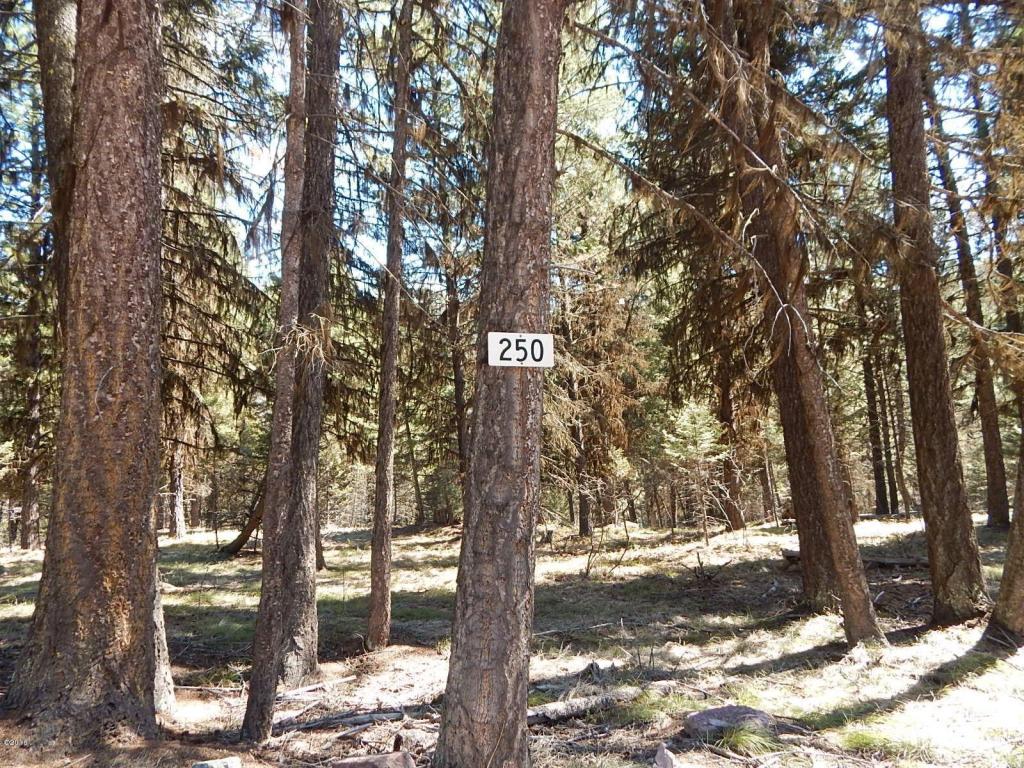 250 Summit Drive, Seeley Lake, MT 59868