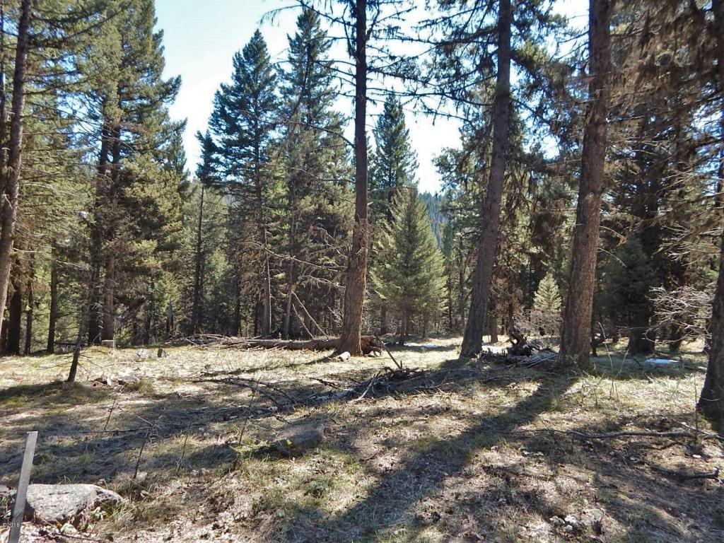 250 Summit Drive, Seeley Lake, MT 59868
