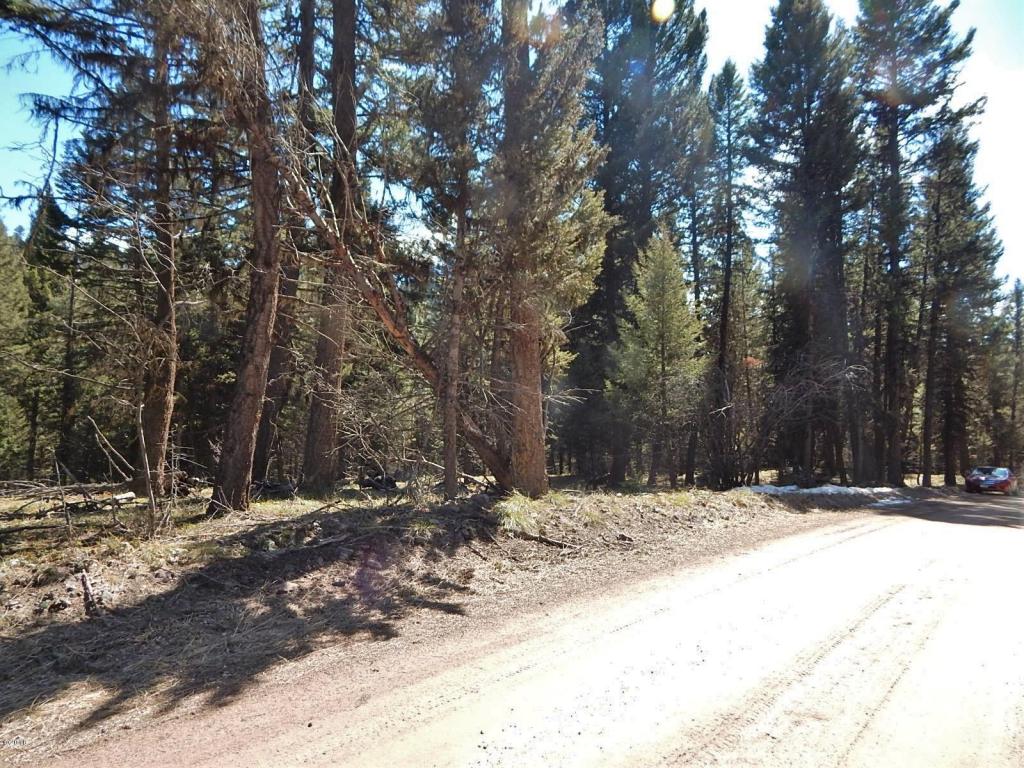 250 Summit Drive, Seeley Lake, MT 59868