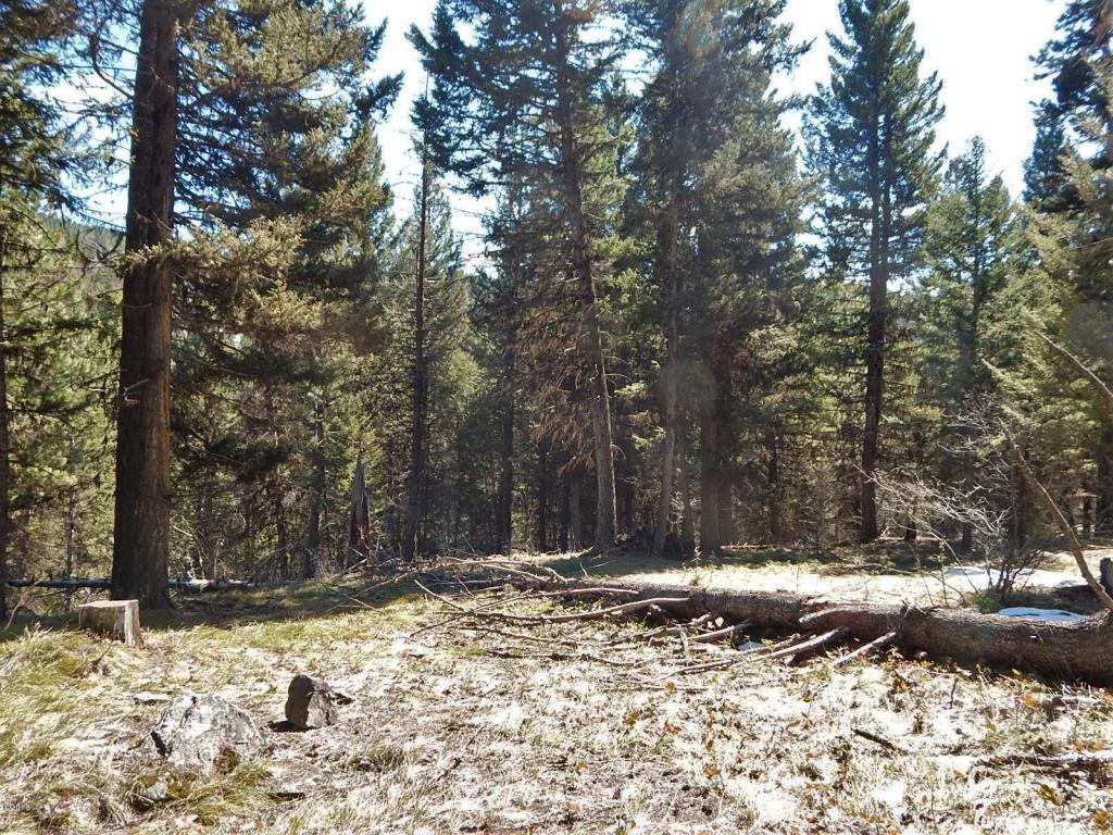 250 Summit Drive, Seeley Lake, MT 59868