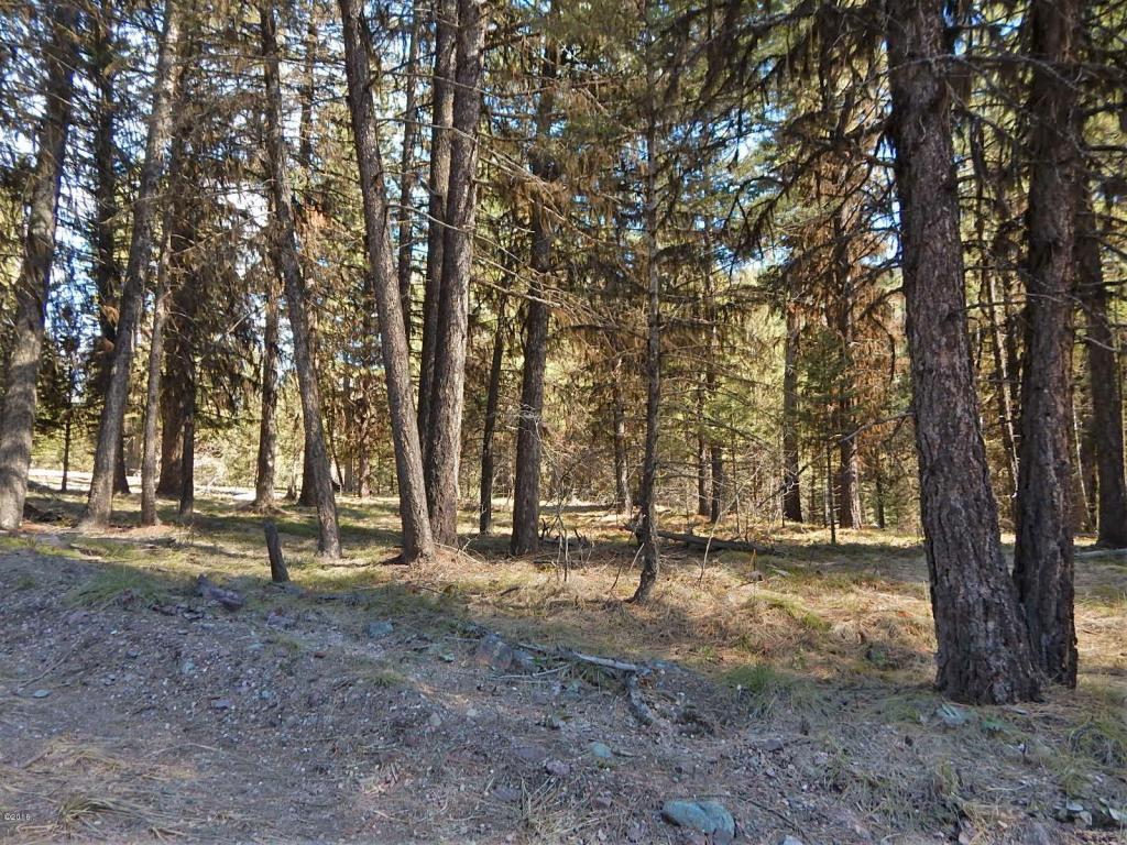 250 Summit Drive, Seeley Lake, MT 59868