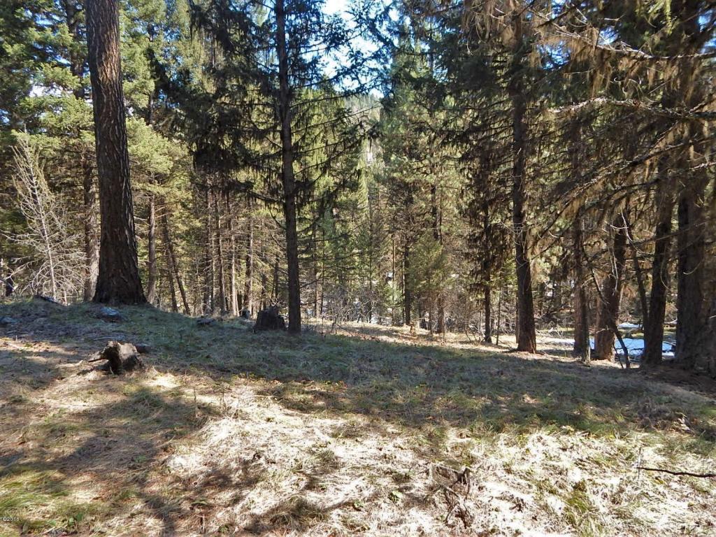 250 Summit Drive, Seeley Lake, MT 59868