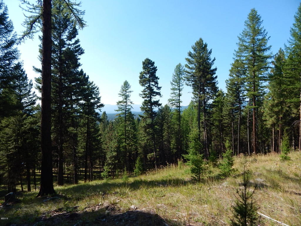 475 Stagecoach Drive, Seeley Lake, MT 59868