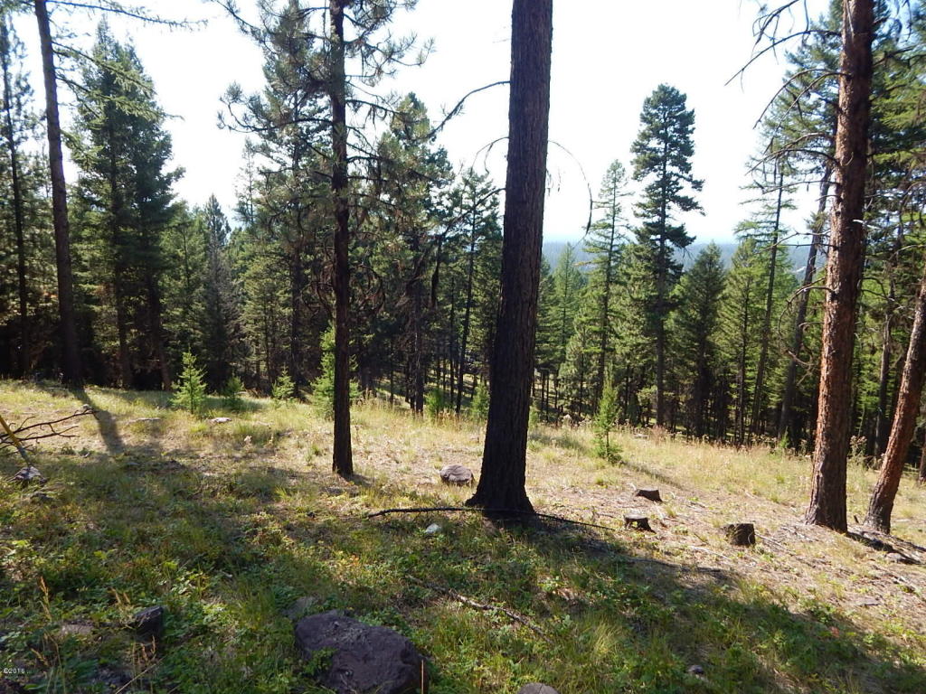 475 Stagecoach Drive, Seeley Lake, MT 59868